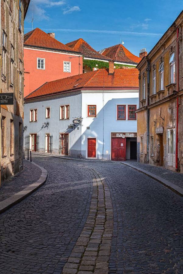 Penzion Maxwilliam Znojmo Dış mekan fotoğraf